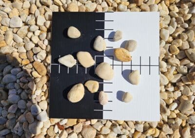 3 4 1 1 2 white river