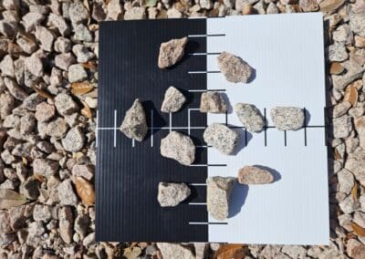 #4 pink salt and pepper